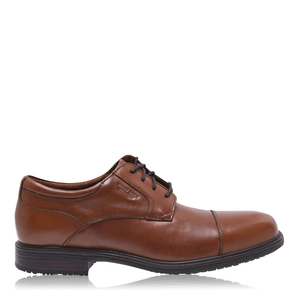 Sapatos Oxford Homem Rockport Dtli Cap Marrom,Portugal HPIRA-7028